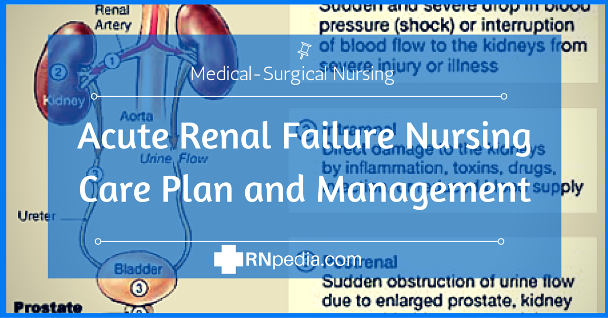 Nursing Care Plan For Renal Failure