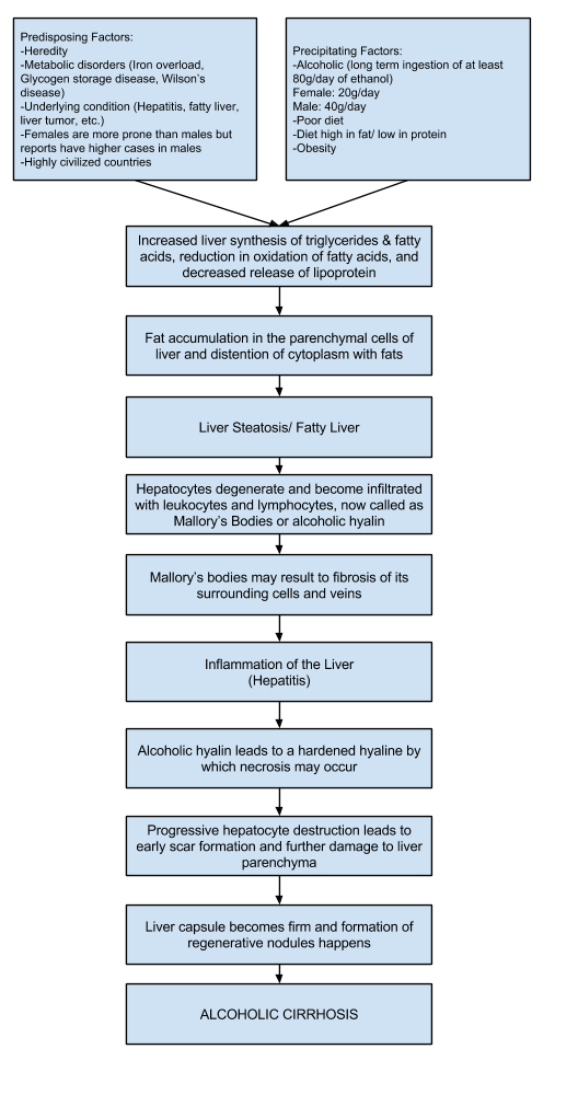 Cirrhosis Of The Liver Diet Restrictions